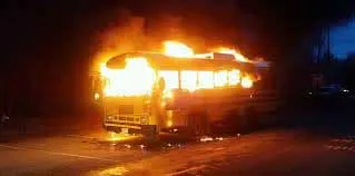 bus 